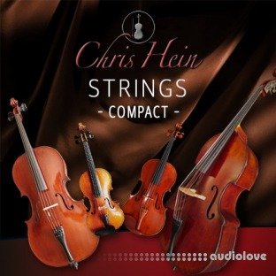 Best Service Chris Hein Strings Compact