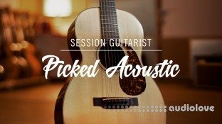 Native Instruments Session Guitarist Picked Acoustic