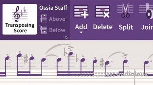 Lynda Learning Sibelius Ultimate 2019 Essential Training The Basics