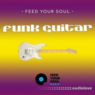 Feed Your Soul Music Feed Your Soul Funk Guitars