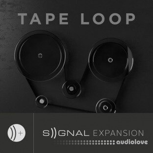 Output Tape Loop