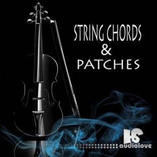 HOOKSHOW String Chords and Patches