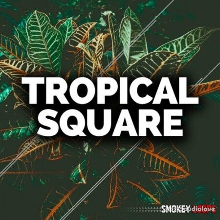 Smokey Loops Tropical Square