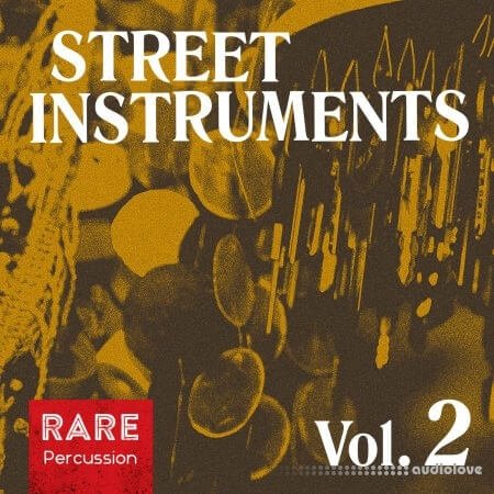 RARE Percussion Street Instruments Vol.2