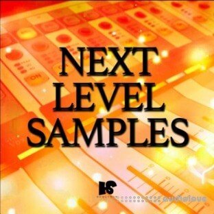 HOOKSHOW Next Level Samples