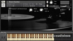 Best Service XXL Pads Vol.1