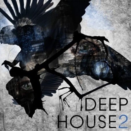 SPF Samplers Deep House 2