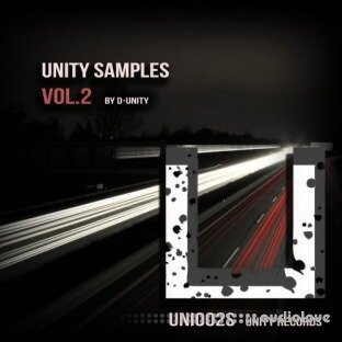 Unity Records Unity Samples Vol.2 by D-Unity