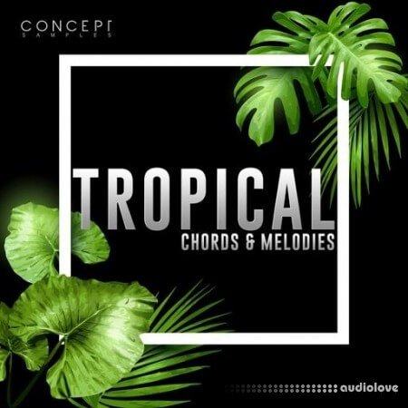 Concept Samples Tropical Chords and Melodies