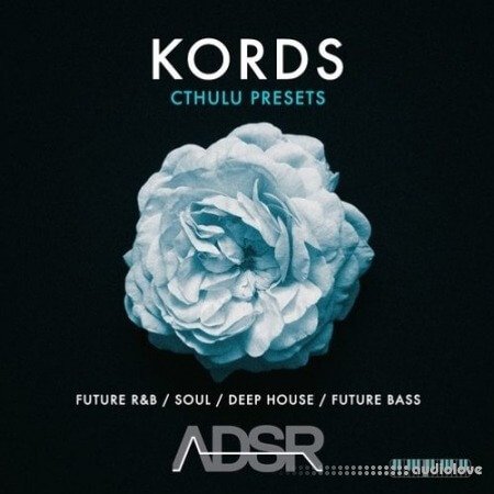 ADSR Sounds Kords