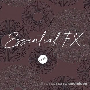 Raw Loops Essential FX