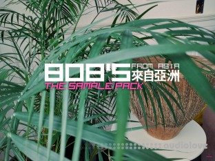 DELAY 808's from Asia The Sample Pack