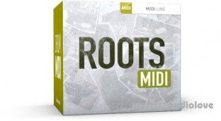 Toontrack Roots MiDi