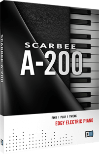 Native Instruments Scarbee A-200