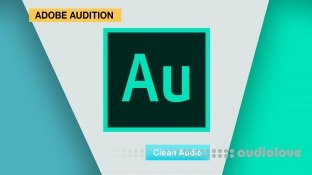 SkillShare Adobe Audition Cleaning Up Your Audio