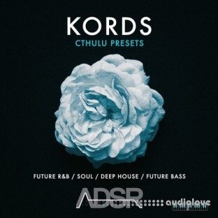 ADSR Sounds Kords