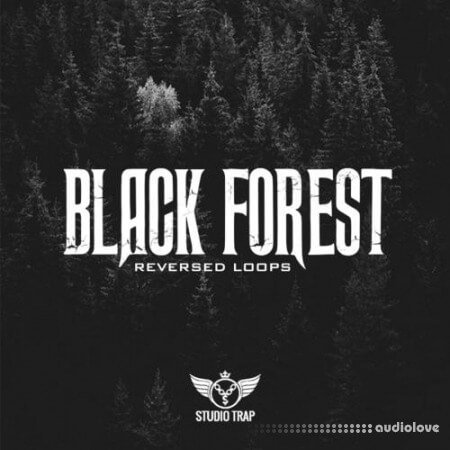 Studio Trap Black Forest