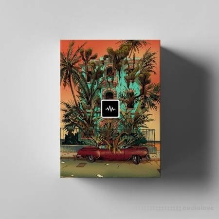 WavSupply Repko Dragonfruit Drum Kit