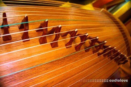 Kong Audio ChineeGuZheng