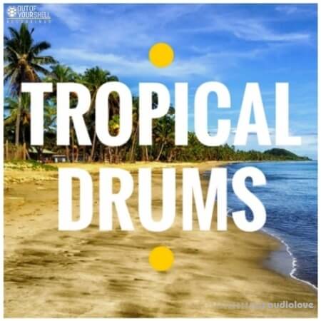 Out Of Your Shell Tropical Drums