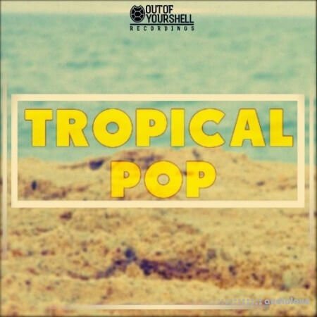 Out Of Your Shell Tropical Pop