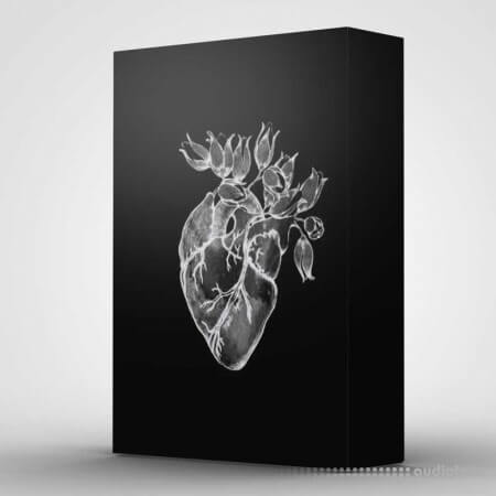 UrBan Nerd Beats Heart (Drum & Sample Pack)