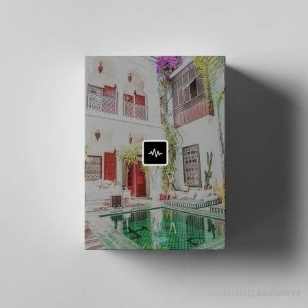 WavSupply mjNichols Cartier (Stem And MiDi Kit)