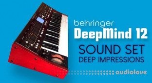 AnalogAudio DeepMind12 Deep Impressions Bank