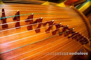 Kong Audio ChineeGuZheng