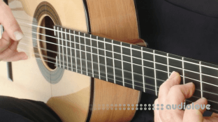 Udemy Flamenco Guitar