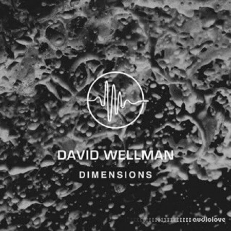 David Wellman Dimensions