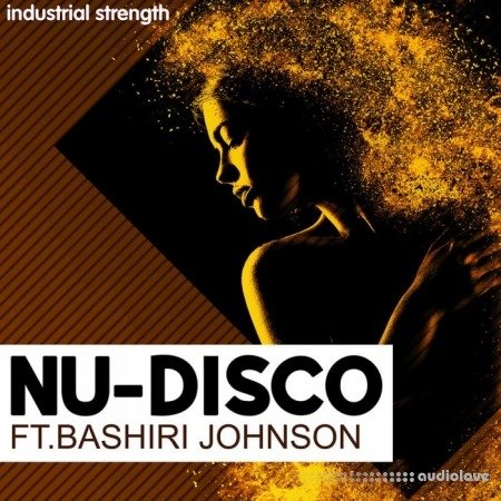 Industrial Strength Nu-Disco Ft. Bashiri Johnson