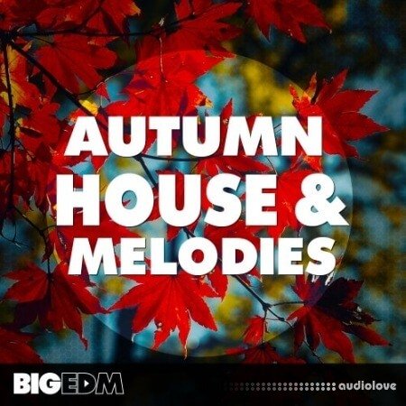 Big EDM Autumn House and Melodies