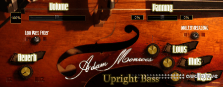 Adam Monroe Music Upright Bass