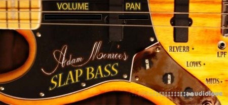 Adam Monroe Music Slap Bass