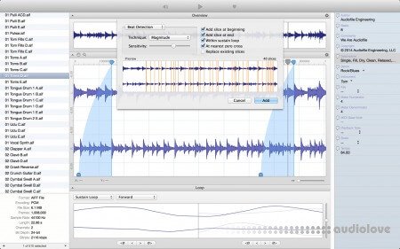 Audiofile Engineering Loop Editor