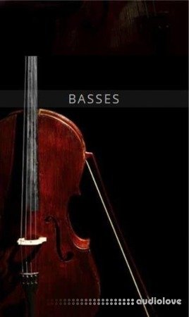 Auddict United Strings of Europe: Basses