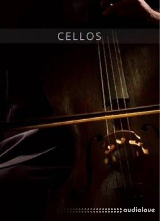 Auddict United Strings of Europe: Cellos