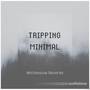 Whitenoise Records Tripping Minimal