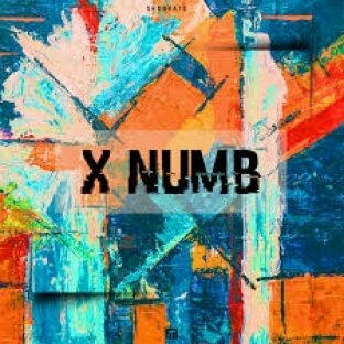 Shobeats X Numb