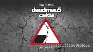 Sonic Academy Deadmau5 Caritas Remix with Dom Kane