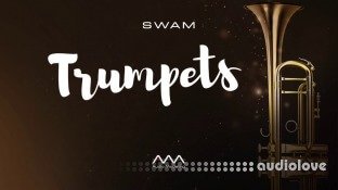 Audio Modeling SWAM Trumpets