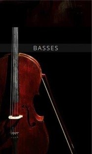 Auddict United Strings of Europe: Basses