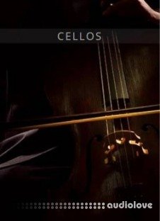 Auddict United Strings of Europe: Cellos