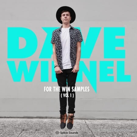 Splice Sounds Dave Winnel For The Win Samples Vol.1