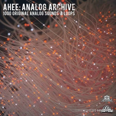 Splice Sounds Ahee Analog Archive