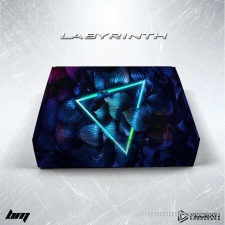 Modern Producers Labyrinth (MIDI and Stem Kit)