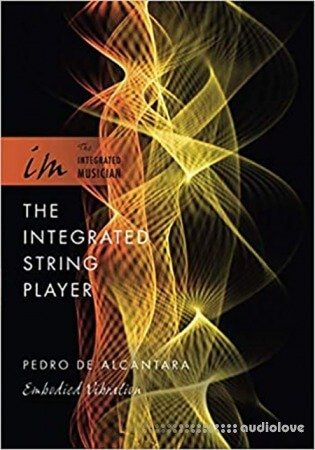 The Integrated String Player : Embodied Vibration