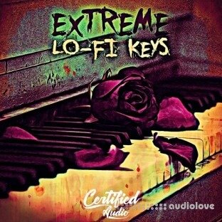 Certified Audio Extreme Lo-Fi Keys