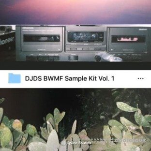 Splice Sounds DJDS Big Wave More Fire Sample Kit